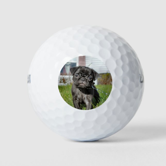 Schwarzer Mops Golfball (Vorderseite)