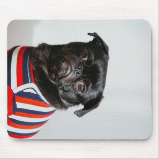Schwarzer Mops in einem Pullover Mousepad
