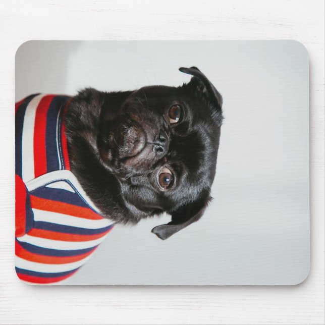 Schwarzer Mops in einem Pullover Mousepad (Vorne)