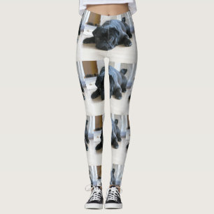 Schwarzer Mops Leggings