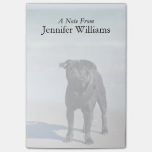 Schwarzer Mops stehend auf dem Strand Post-it Klebezettel