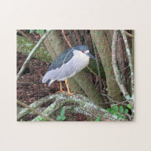Schwarzer Nachtheron - Vogel - Puzzle
