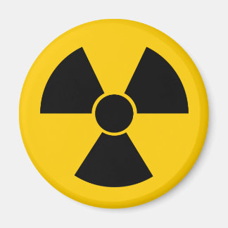 Schwarzer Nuss Magnet