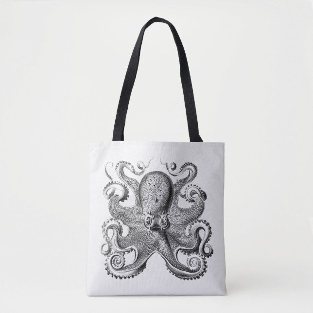 Schwarzer Oktopus von Ernst Haeckel (Vorderseite)