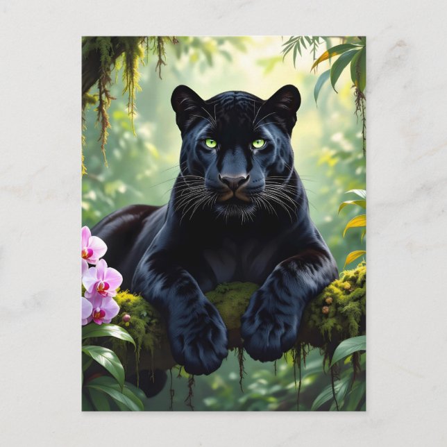 Schwarzer Panther im Dschungel Postkarte (Vorderseite)