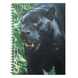 Schwarzer Panther-Katzen-Notizbuch Notizblock