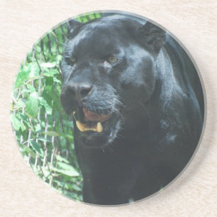 Schwarzer Panther-Katzen-Untersetzer Sandstein Untersetzer