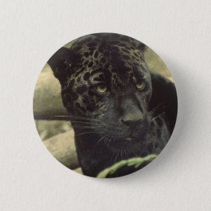 Schwarzer Panther-runder Knopf Button