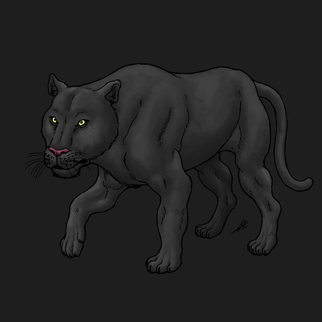 Schwarzer Panther T-Shirt (Von Creator hochgeladen)