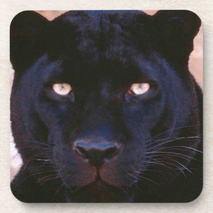 Schwarzer Panther Untersetzer