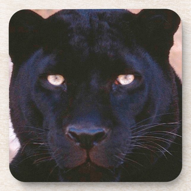 Schwarzer Panther Untersetzer (Vorderseite)