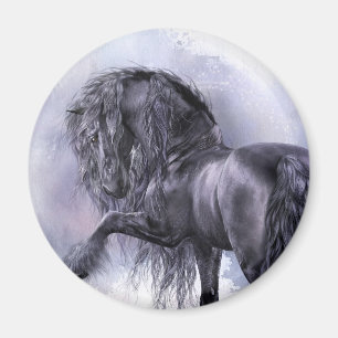 Schwarzer Perlen-Magnet Magnet