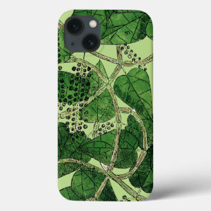 Schwarzer Pfeffer-Pflanze, 1578 Case-Mate iPhone Hülle