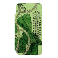 Schwarzer Pfeffer-Pflanze, 1578