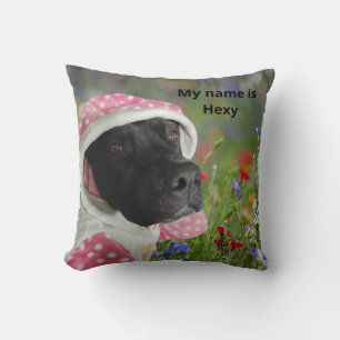 Schwarzer Pitbull in einem rosa Polka Dot Hood - B Kissen