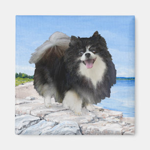 Schwarzer Pomeranian an der Meeresküste Magnet