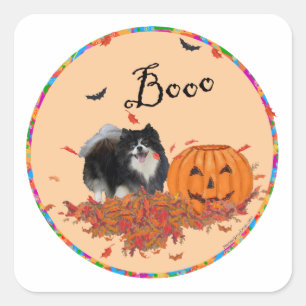 Schwarzer Pomeranian Halloween Quadratischer Aufkleber