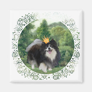Schwarzer Pomeranian Prinz Magnet