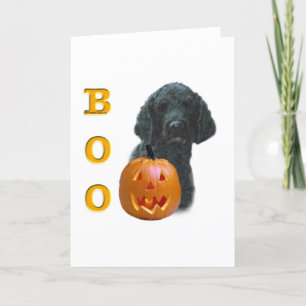 Schwarzer Poodle Boo Karte