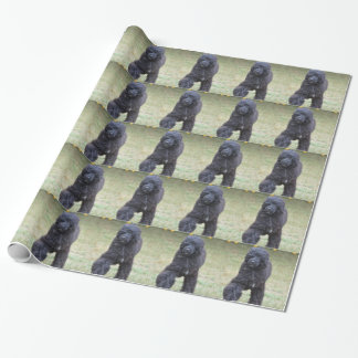 Schwarzer portugiesischer Wasser-Hund Geschenkpapier