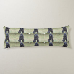 Schwarzer portugiesischer Wasser-Hund Seitenschläferkissen