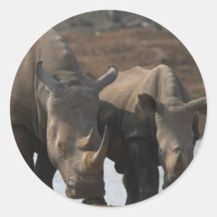 Schwarzer Rhinos-Sticker Runder Aufkleber