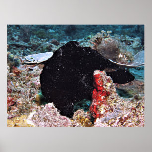 Schwarzer Riesenfisch Poster