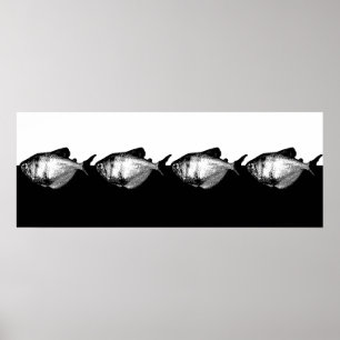 Schwarzer Rock-Tetra- Schule Poster