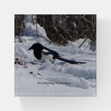 Schwarzer Rocky Mountain Magpie Paperweight