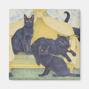 Schwarzer Samt Magnet