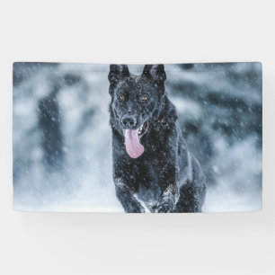 Schwarzer Schäfer im Schnee Banner