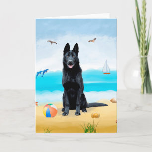 Schwarzer Schäferhund am Strand Karte