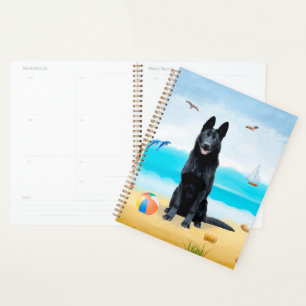 Schwarzer Schäferhund am Strand Planer