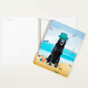 Schwarzer Schäferhund am Strand Planer