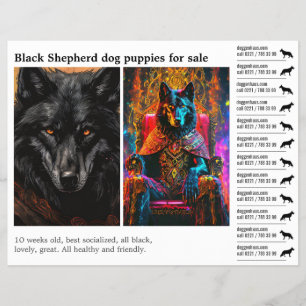 Schwarzer Schäferhund  Flyer
