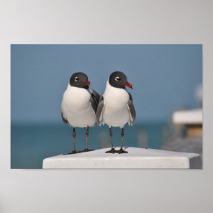 Schwarzer Schluchten Poster