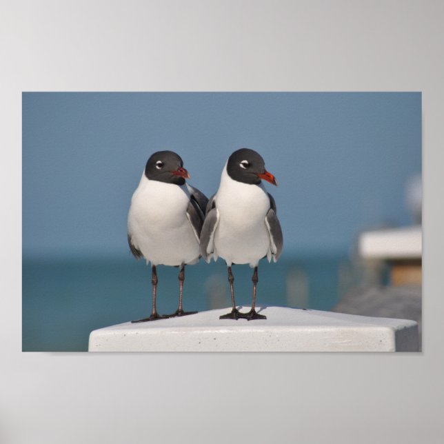 Schwarzer Schluchten Poster (Vorne)