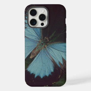 Schwarzer Schmetterling iPhone 15 Pro Max Hülle