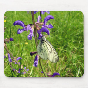 Schwarzer Schmetterlingsmousse Mousepad