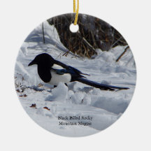 Schwarzer Schmuck aus dem Rocky Mountain Magpie