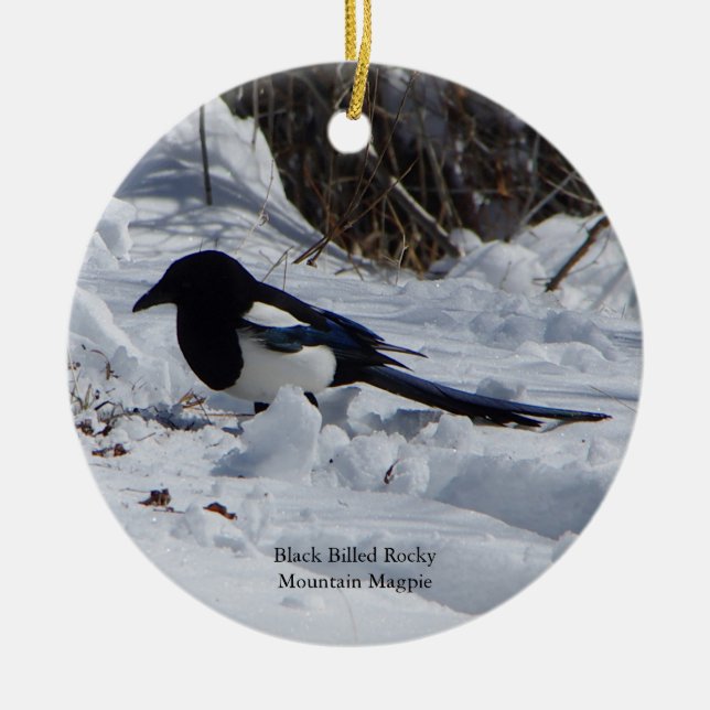 Schwarzer Schmuck aus dem Rocky Mountain Magpie Keramik Ornament (Vorne)