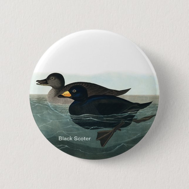 Schwarzer Schotter, Audubon, Seehühner, Vogelbeoba Button (Vorderseite)