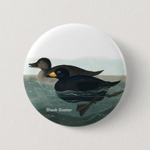 Schwarzer Schotter, Audubon, Seehühner, Vogelbeoba Button