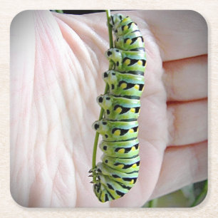 Schwarzer Schwalbenschwanz Raupen/Schmetterling Rechteckiger Pappuntersetzer