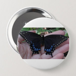 Schwarzer Schwalbenschwanz Schmetterling #1 Button