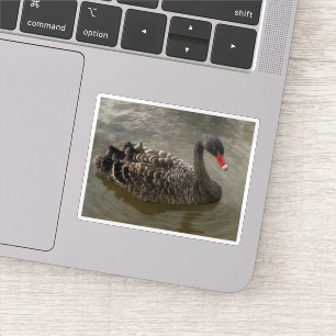 Schwarzer Schwan Aufkleber