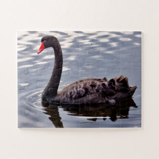 Schwarzer Schwan Australien Puzzle
