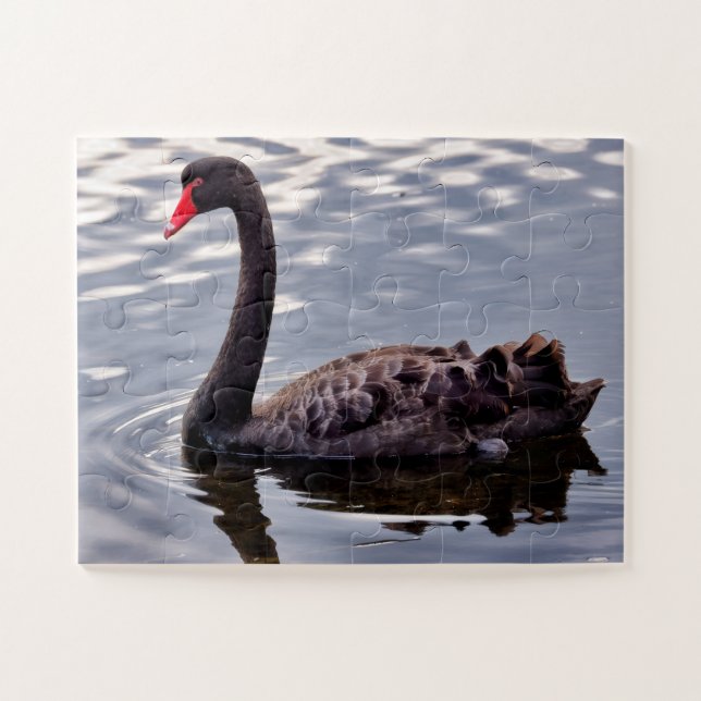 Schwarzer Schwan Australien Puzzle (Horizontal)