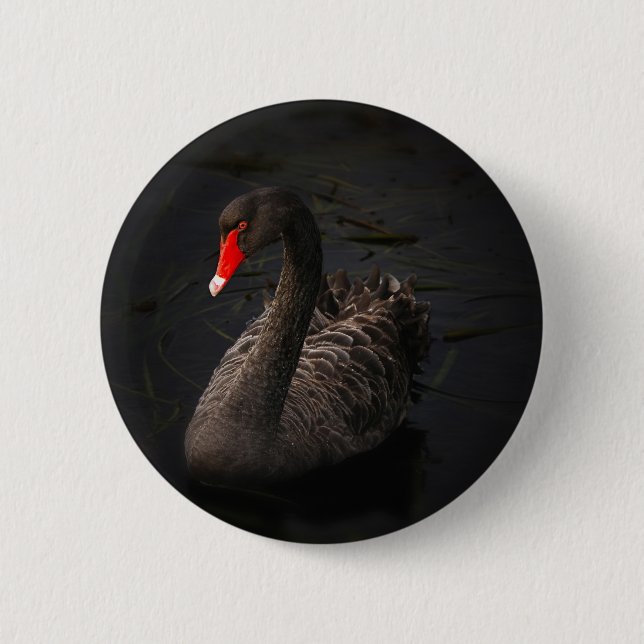 Schwarzer Schwan Button (Vorderseite)