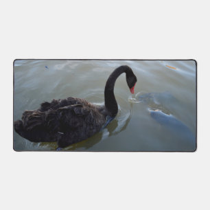 Schwarzer Schwan, der im Fluss Riesenfische beobac Schreibtischunterlage